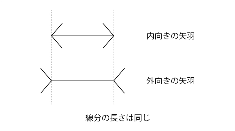 ミュラー・リヤー錯視