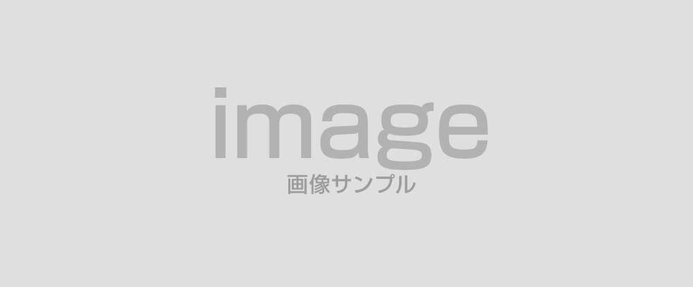 代替テキスト